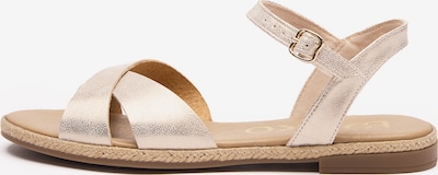 Basutės su dirželiais iš RYŁKO, spalva – kūno spalva, Prekių apžvalga