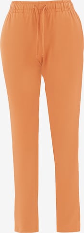 Organication Slimfit Hose in Orange: Vorderseite