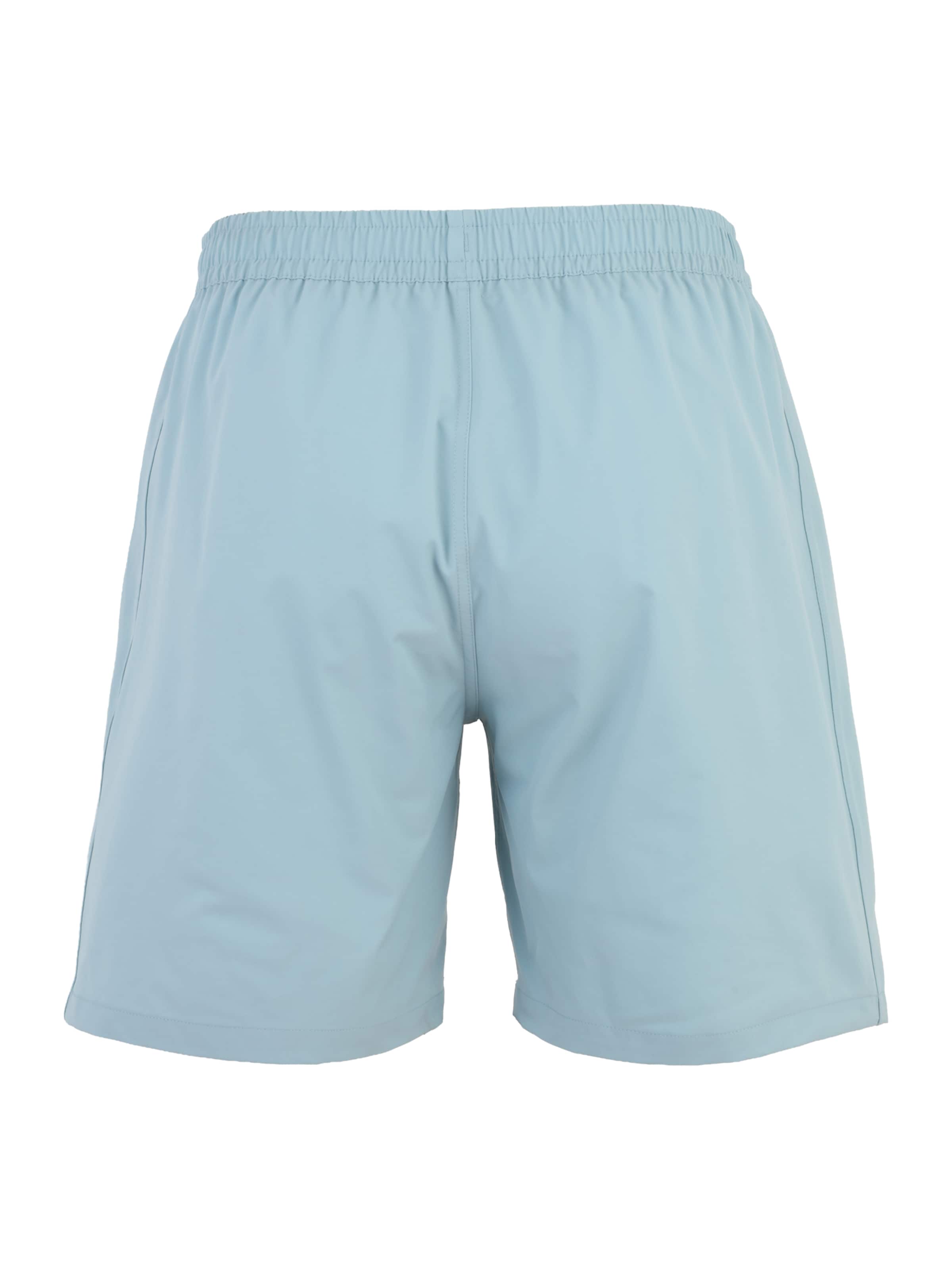 PROTEST Плавательные шорты 'BAKY' в Синий