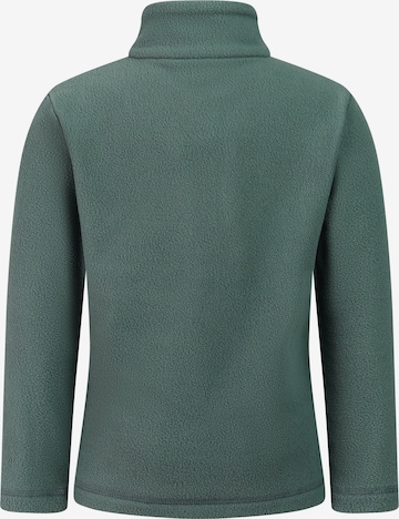 PROTEST Sportsweatshirt 'PRTRemutey TD' in Grün: Vorderseite