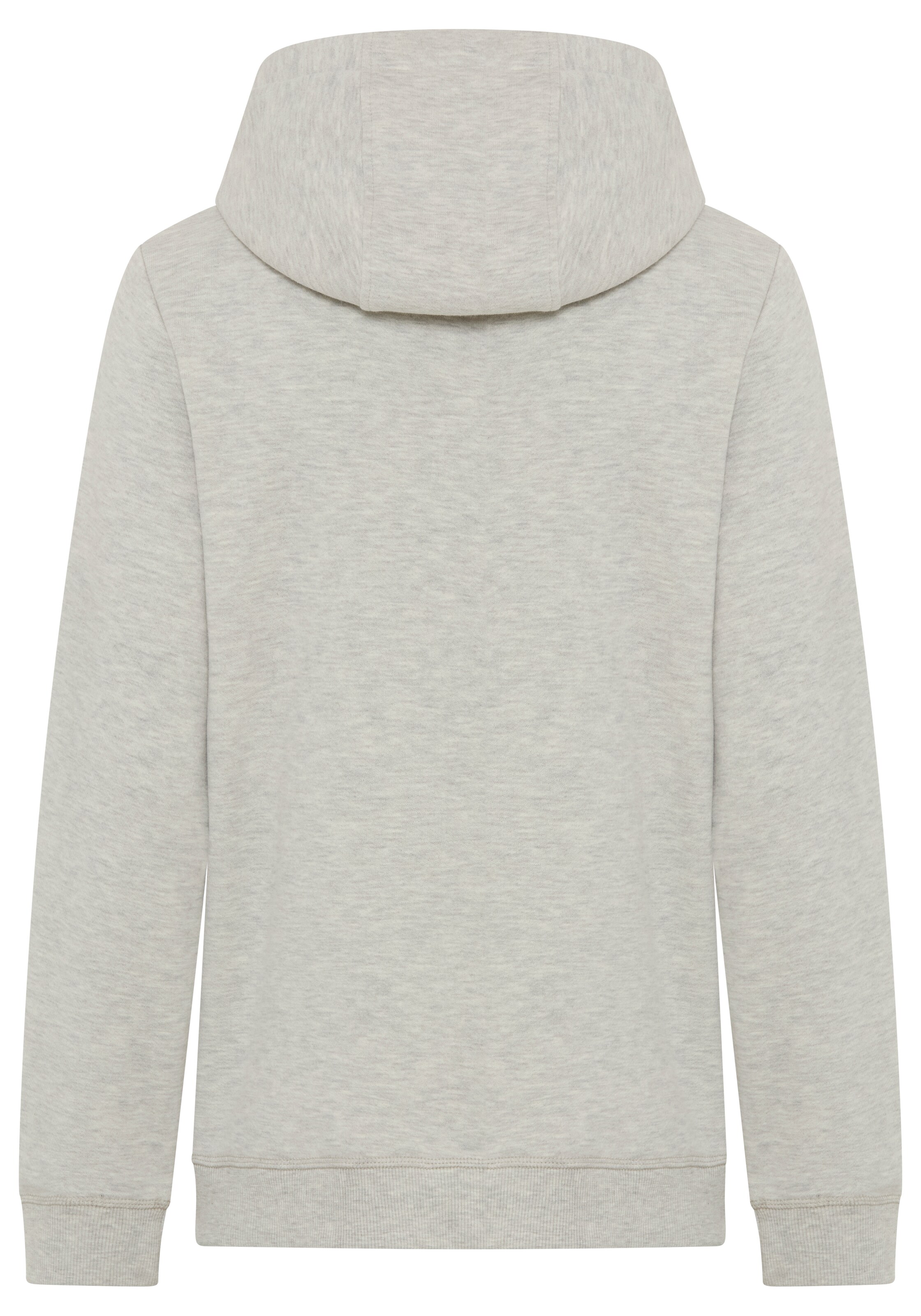 DELMAO Sweatshirt in Grey