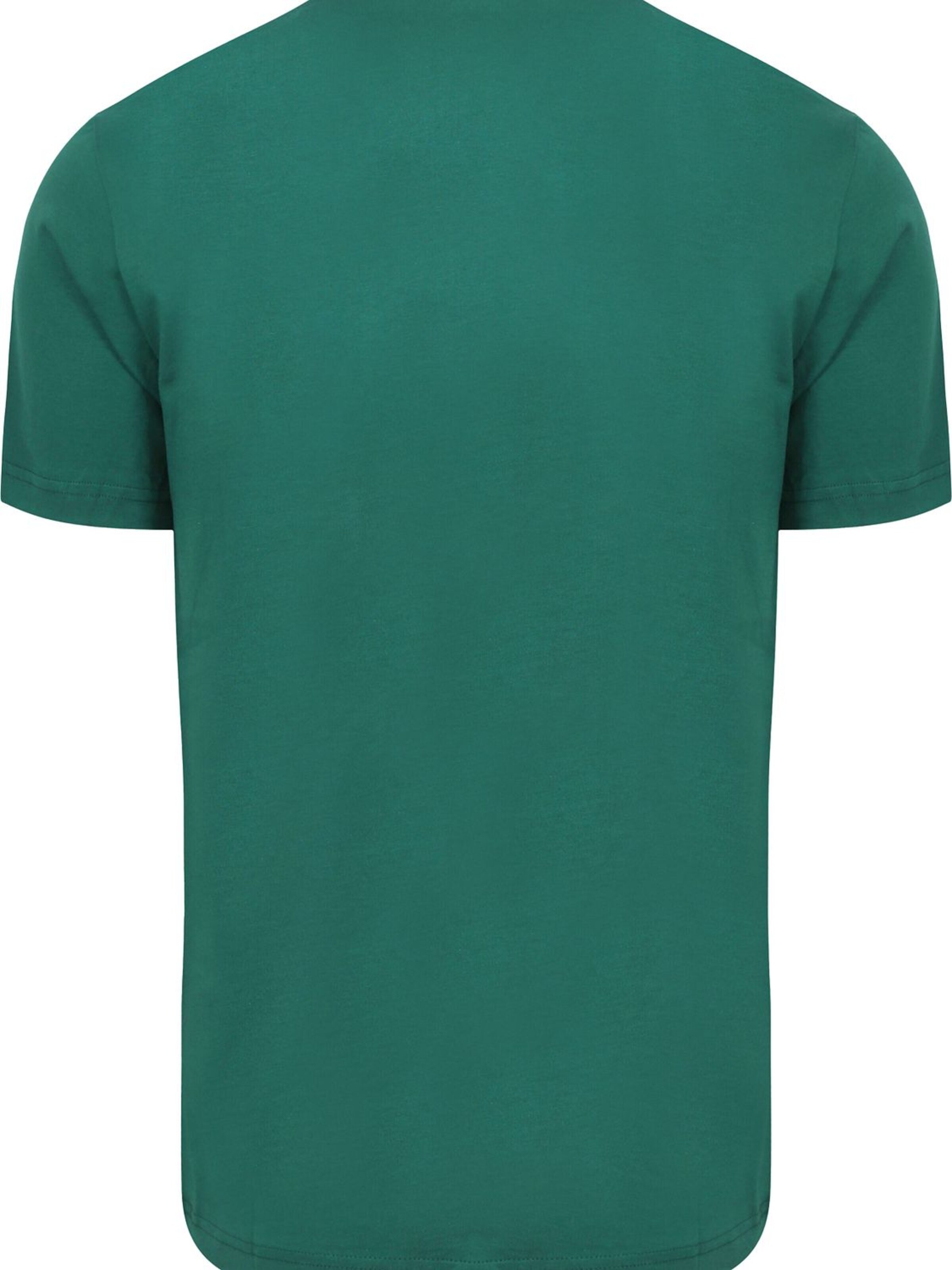 KING Essentials Shirt 'The Steve' in Green