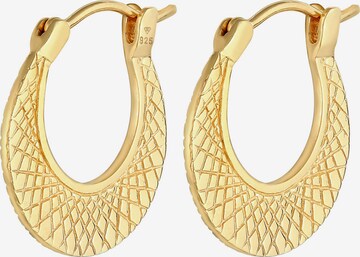 ELLI Earrings in Gold: front