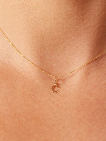 Lucardi Pendant 'Klassisch' in Gold: front
