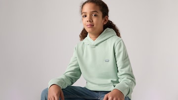 LEVI'S ® Sweatshirt in Grün