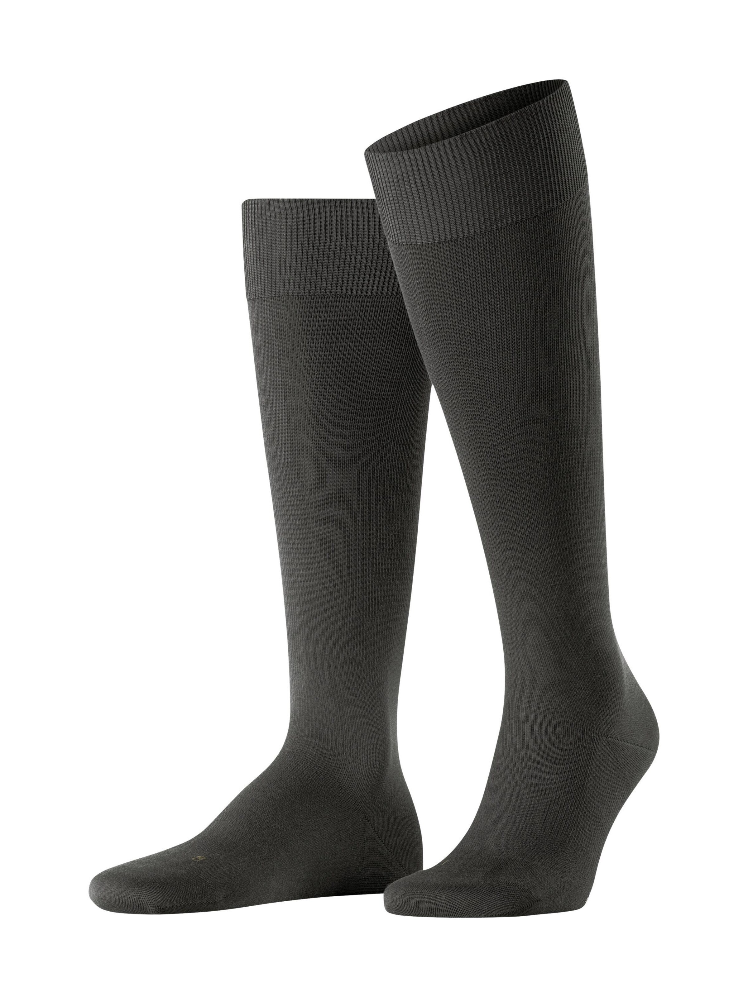 FALKE Kniestrümpfe 'Energizing Cotton'‌‌‌‌‌‌‌‌ in Braun: Vorderseite