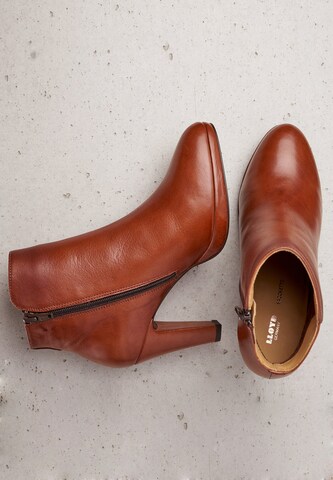 LLOYD Ankle Boots in Brown