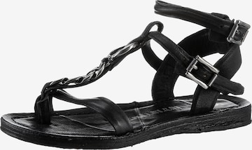 A.S.98 Strap Sandals in Black: front