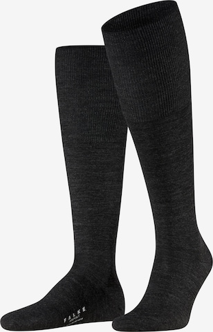 FALKE Knee High Socks 'Airport' in Grey: front
