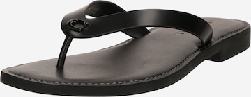 COACHJapanke 'BRIANNA' - crna boja: prednji dio