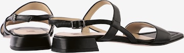 Högl Strap Sandals 'Elba' in Black
