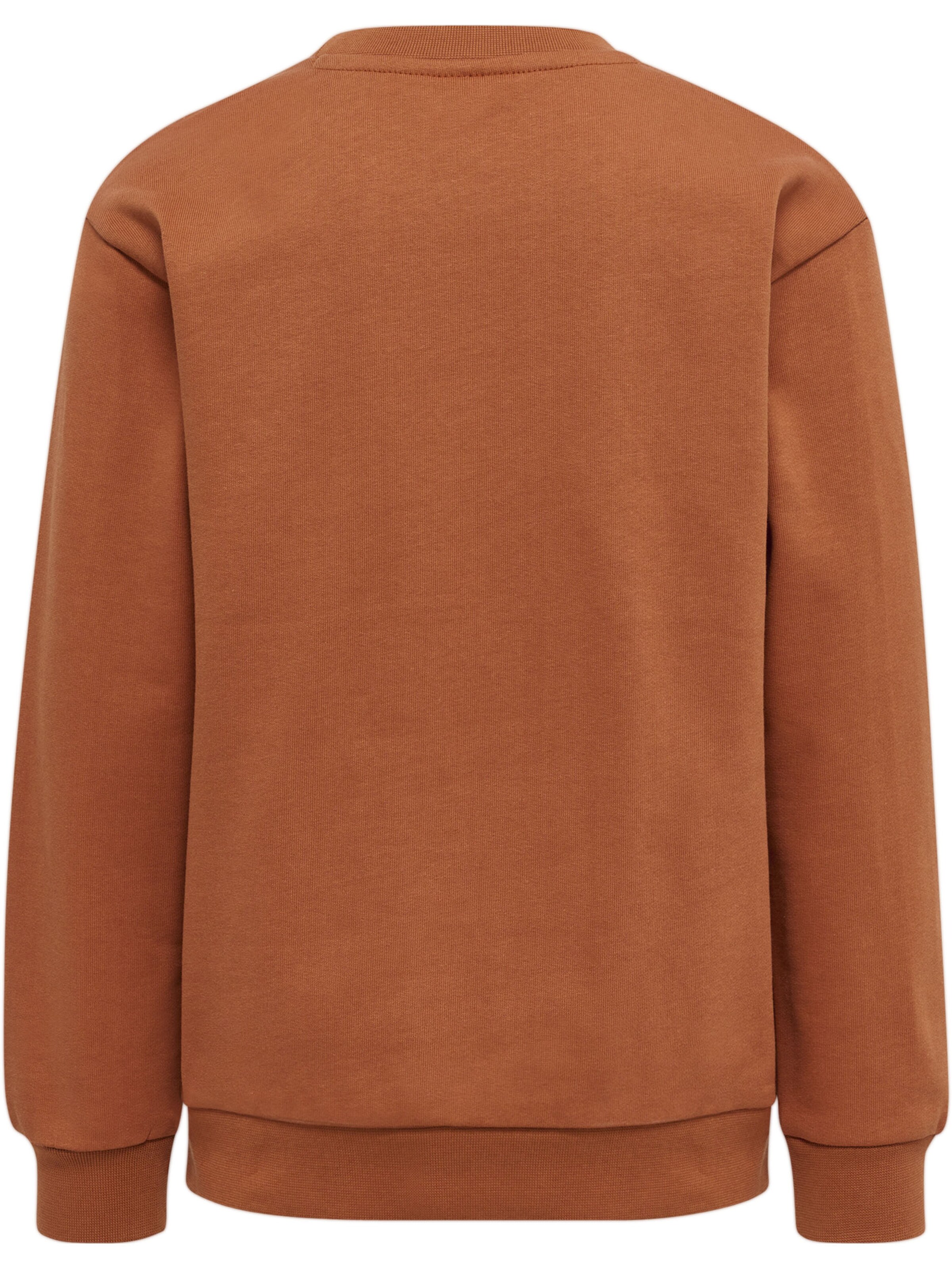 Hummel Sweatshirt in Bruin