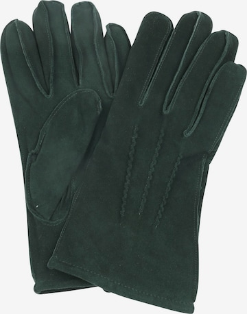 Suitable Full Finger Gloves in Green: front