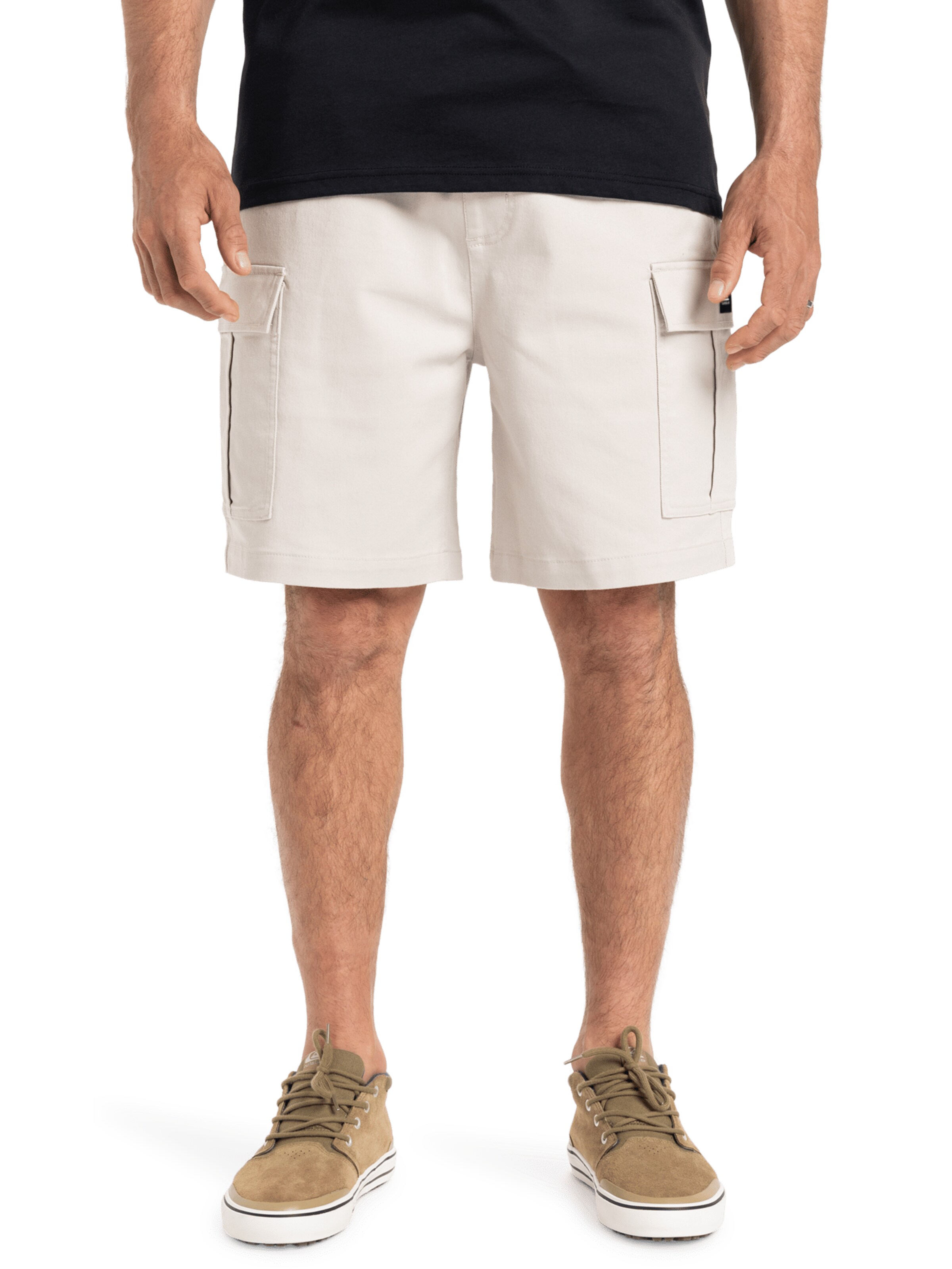 Loosefit Pantalon cargo 'Taxer 19' QUIKSILVER en beige : devant