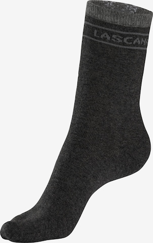 LASCANA Socken in Mischfarben