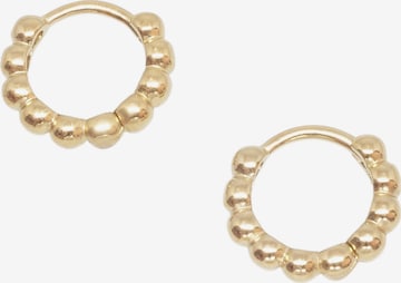 fejn Creolen in Gold: Vorderseite