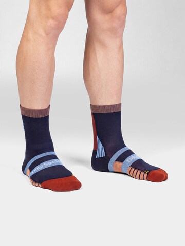 DillySocks Sportsocken 'Active Performance' in Mischfarben: Vorderseite