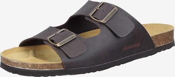 DR. BRINKMANN Pantolette 'Bonillo' in Braun: Vorderseite