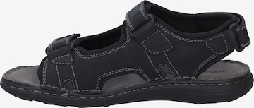 JOSEF SEIBEL Sandals in Black: front