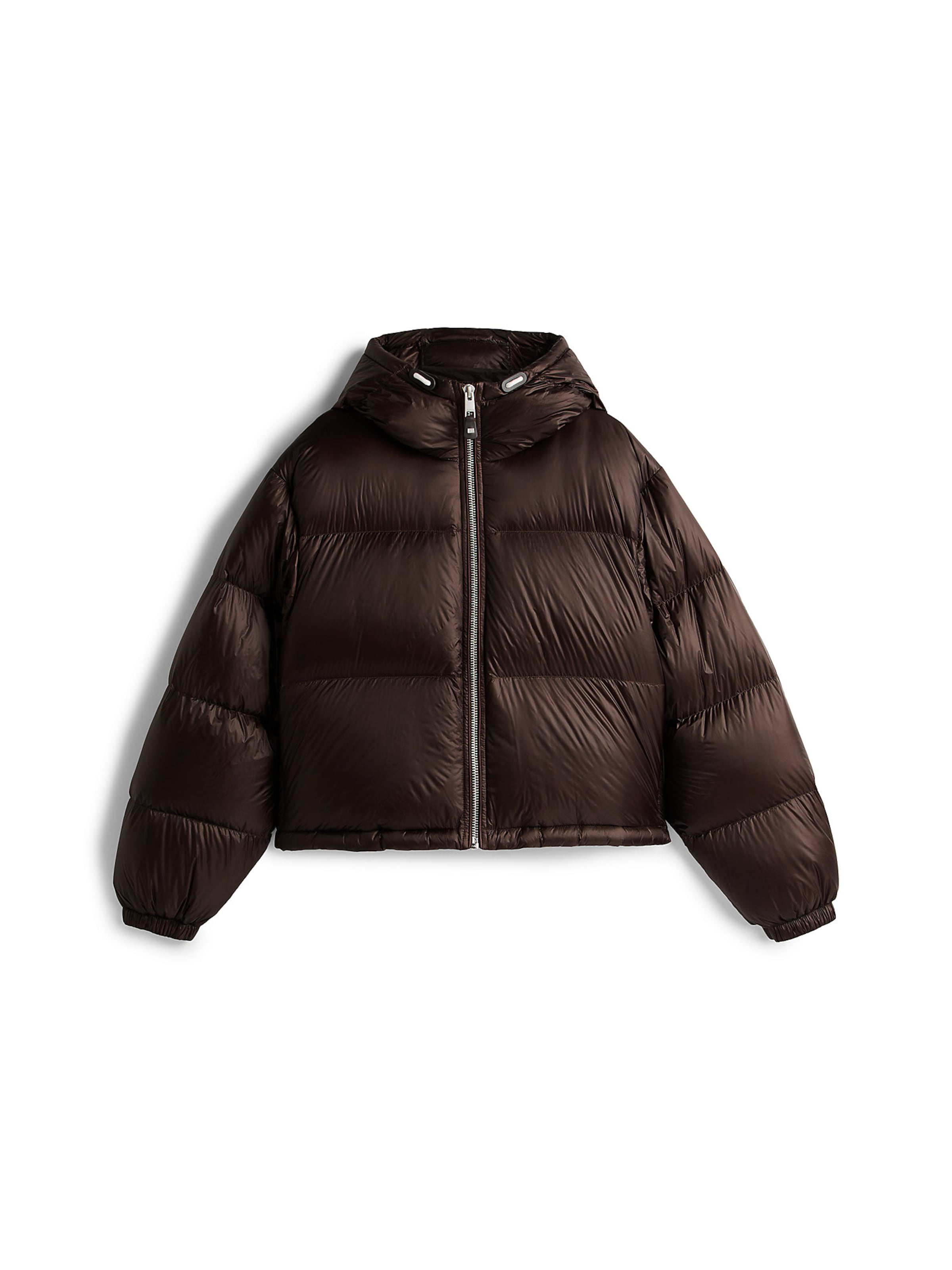TOMMY HILFIGER Winterjas in Bruin: voorkant