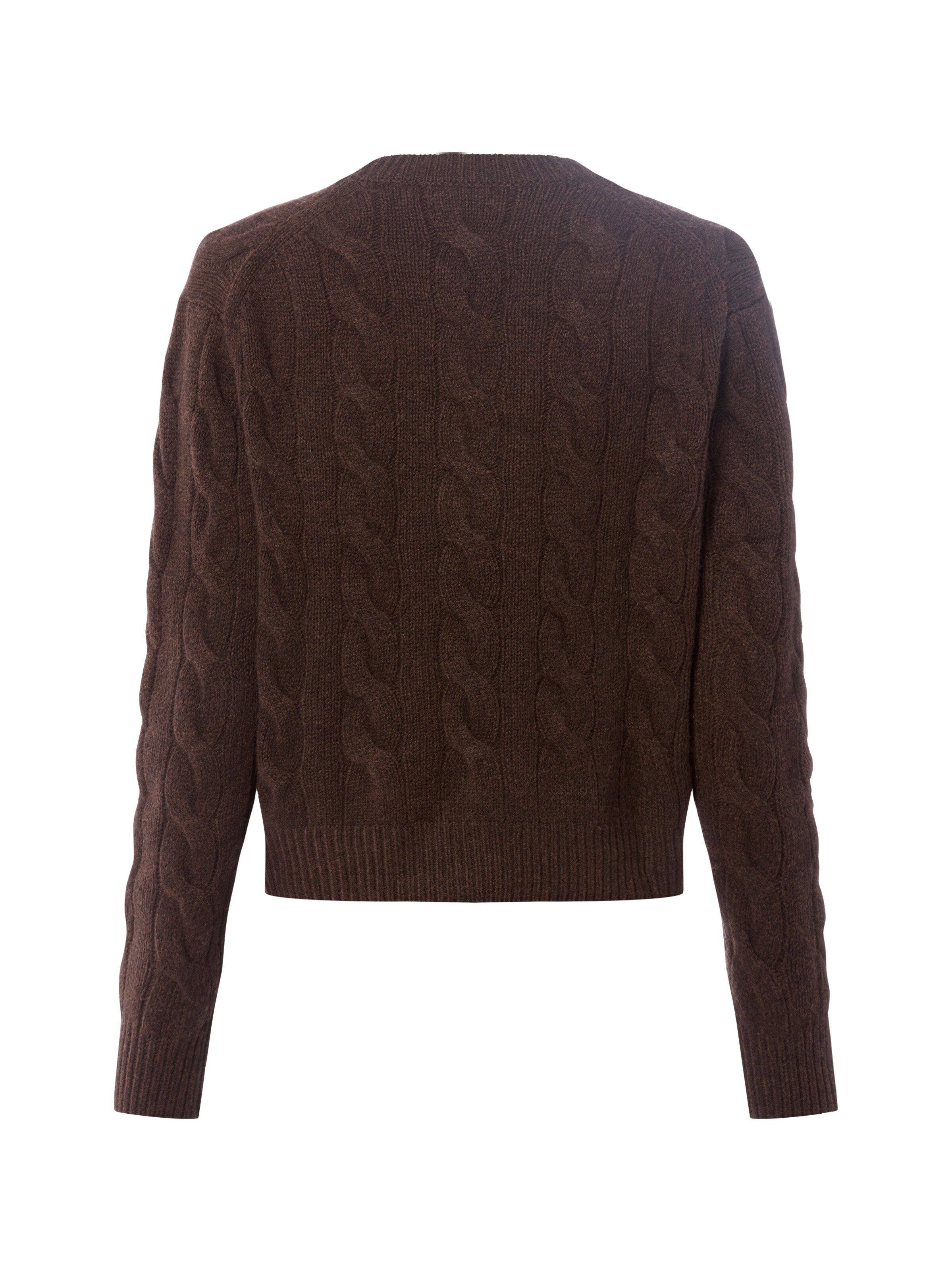 Polo Ralph Lauren Pullover in Braun