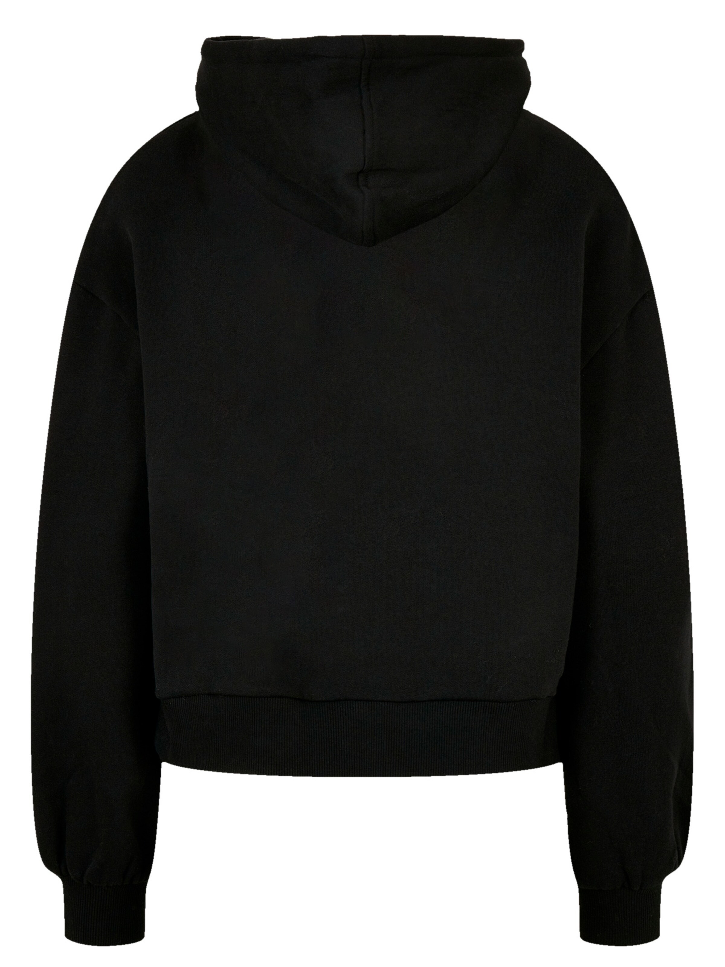 F4NT4STIC Sweatshirt 'NASA Shuttle Orbit' in Zwart