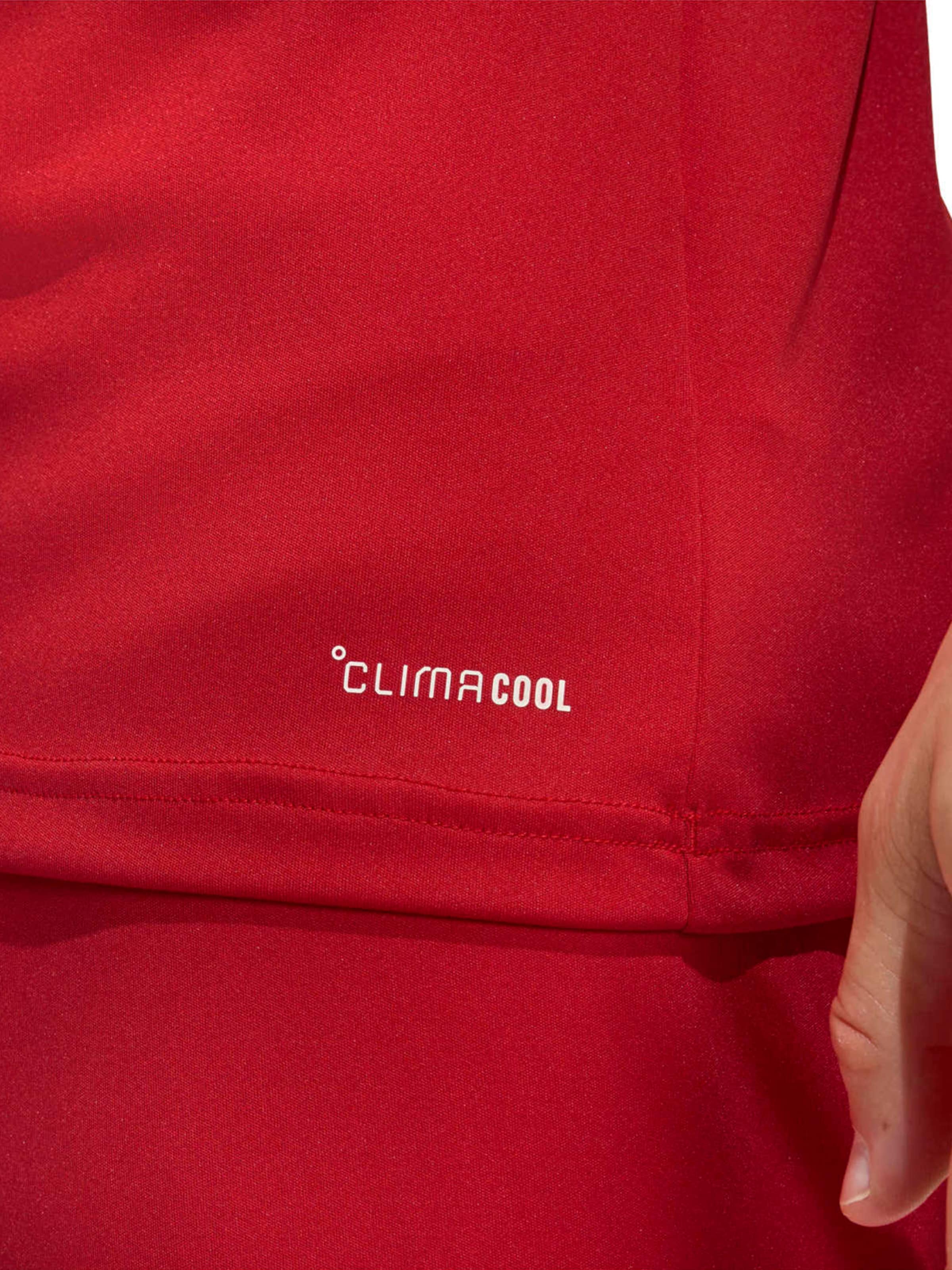 ADIDAS PERFORMANCE Funkcionalna majica 'Ent26' | rdeča barva