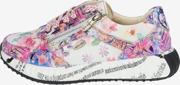 Laura Vita Sneaker in Mischfarben