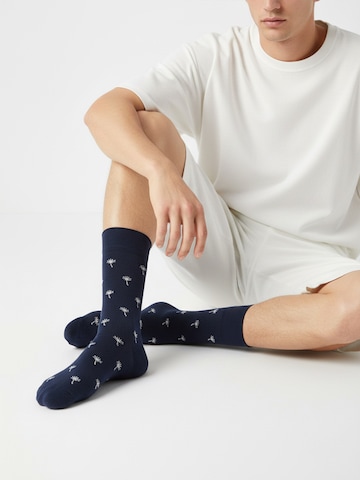 The Arctic Bay Socken 'DISCOVERY PACK EDITION 7 Unisex'‌‌‌‌‌ in Mischfarben