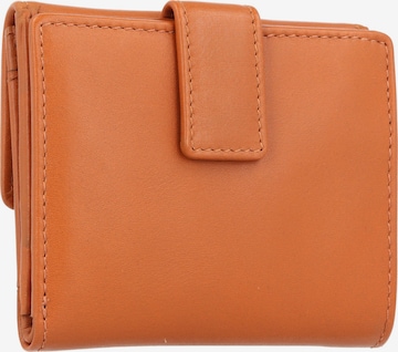 Esquire Wallet 'Peru' in Brown