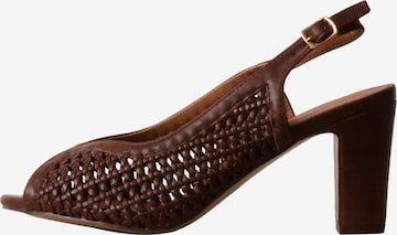 Escarpins 'Pumps' POTI PATI en marron : devant