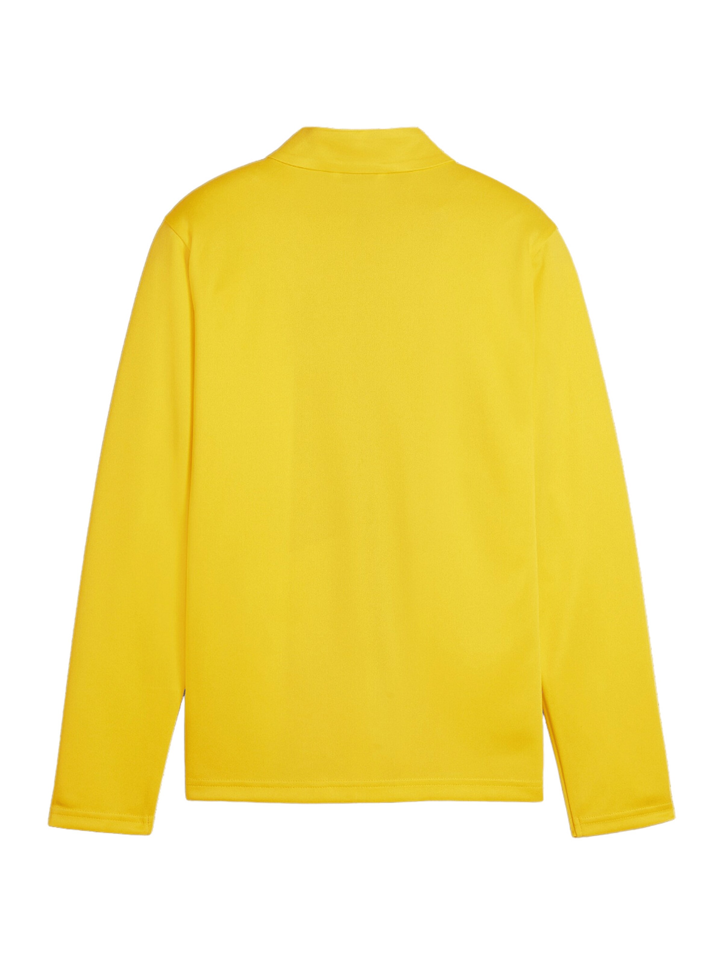 PUMA Trainingsjacke 'TeamGoal' in Gelb