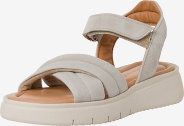 TAMARIS Sandals in Beige: front