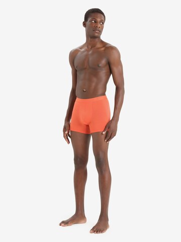 ICEBREAKER - Boxers 'Anatomica' em laranja