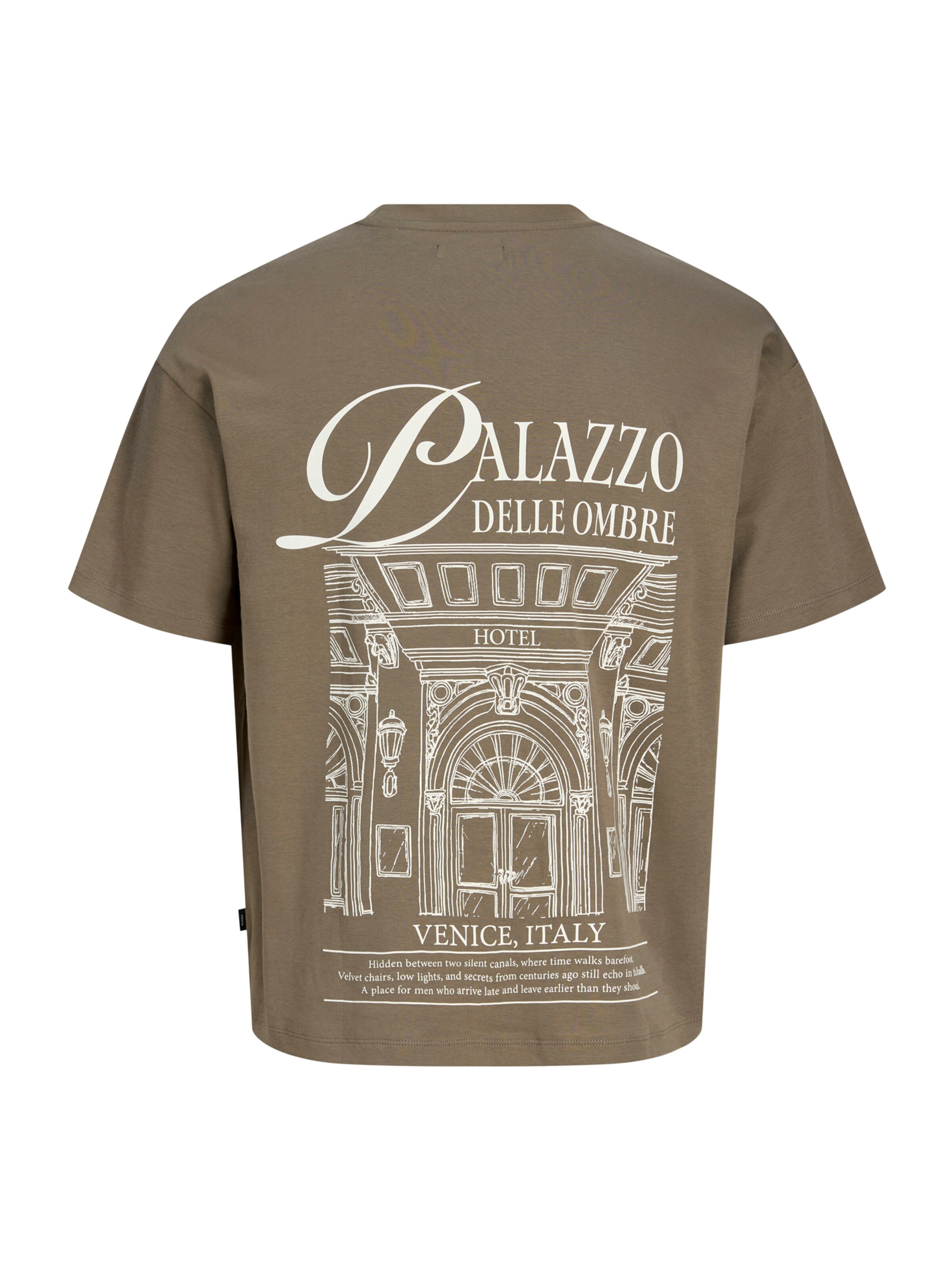 Jack & Jones Plus Футболка 'JPRBLASUMMER' в Коричневый