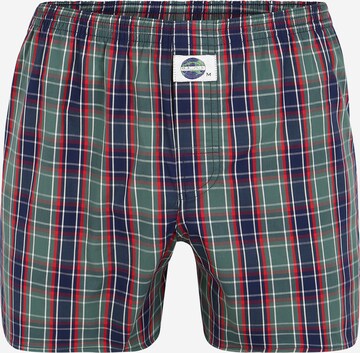 D.E.A.L International Boxershorts in Grün: predná strana