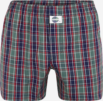 D.E.A.L International Boxershorts in Groen: voorkant