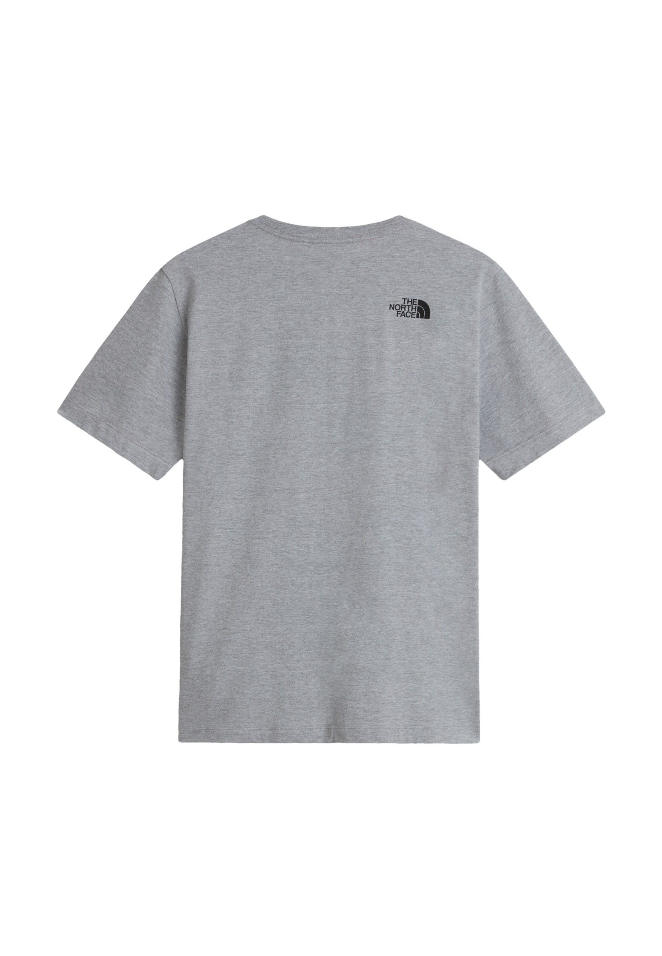 Tricou 'EVOLUTION BOX HALF DOME' de la THE NORTH FACE pe gri