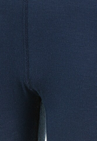 ZigZag Performance Underwear 'Panda' in Blue