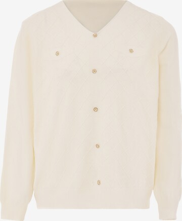ALARY Sweater in Beige: front