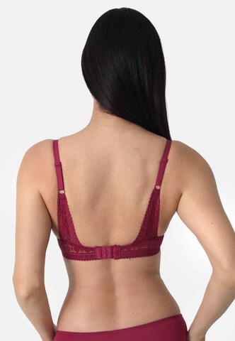 sassa Push-up BH in Rood