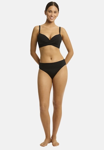 SEA LEVEL Push-up Bikinitop 'Essentials' in Schwarz