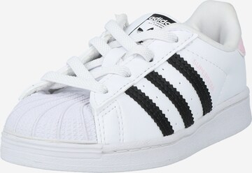 ADIDAS ORIGINALS Sneakers 'Superstar' in White: front