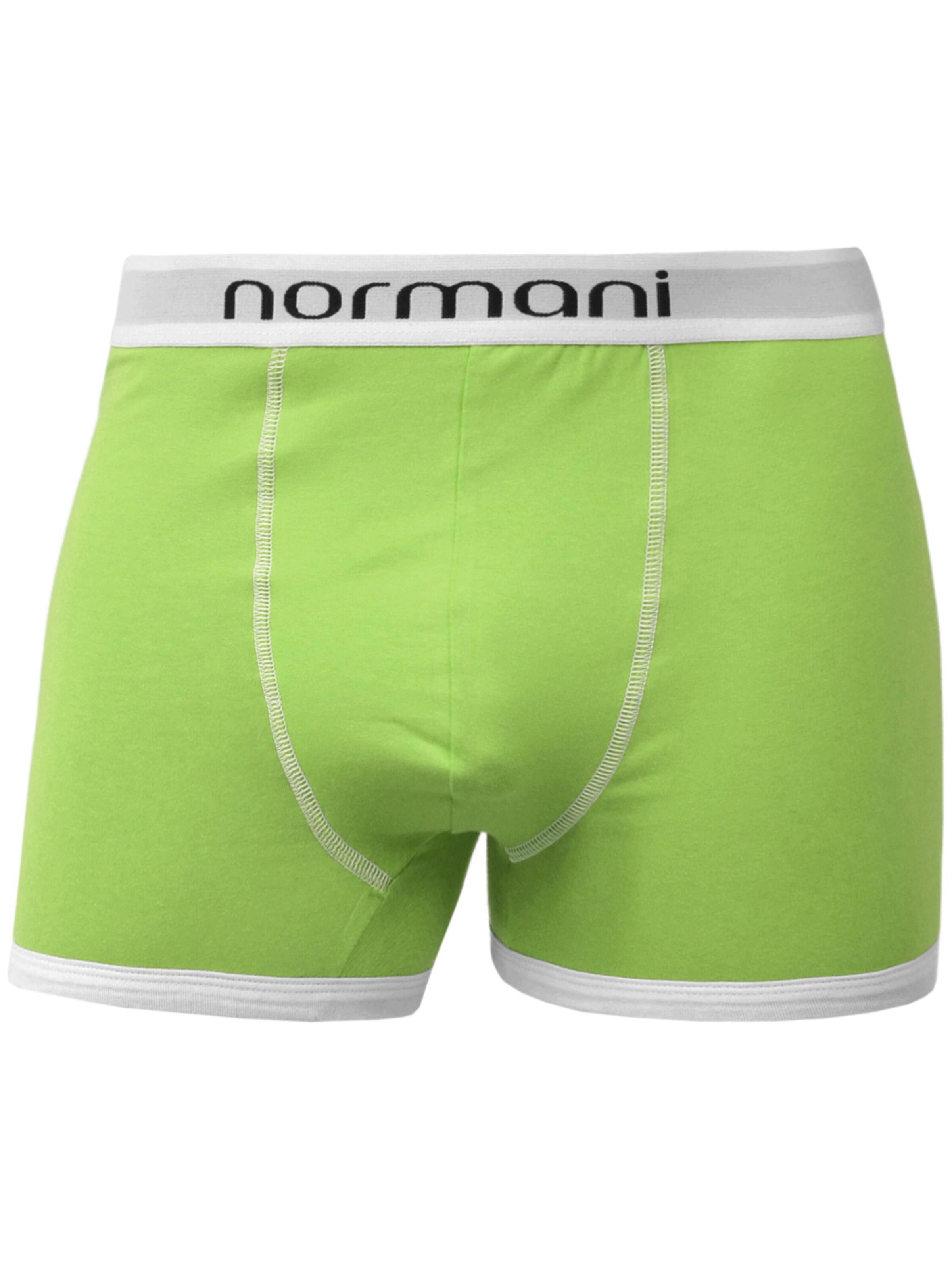 normani Boxer shorts in Green: front
