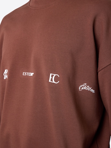 Sweat-shirt ESTEEM en marron