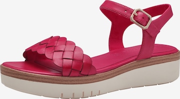 TAMARIS Sandals in Pink: front