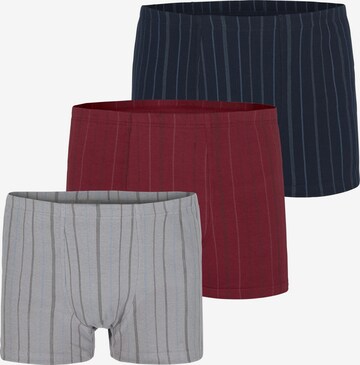 Charles Colby Boxershorts in Gemengde kleuren: voorkant