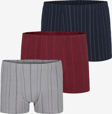 Charles Colby Boxer shorts in Mixed colors: front