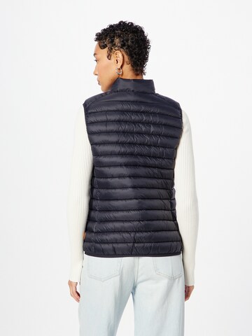 SAVE THE DUCK Bodywarmer 'CHARLOTTE' in Zwart