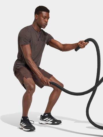 ADIDAS PERFORMANCE regular Sportsbukser 'Designed For Training' i brun: forside